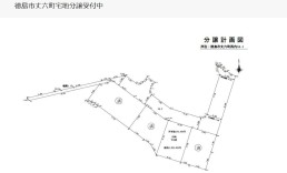 徳島市丈六町宅地分譲計画図